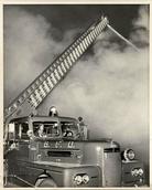 Old Ladder 9